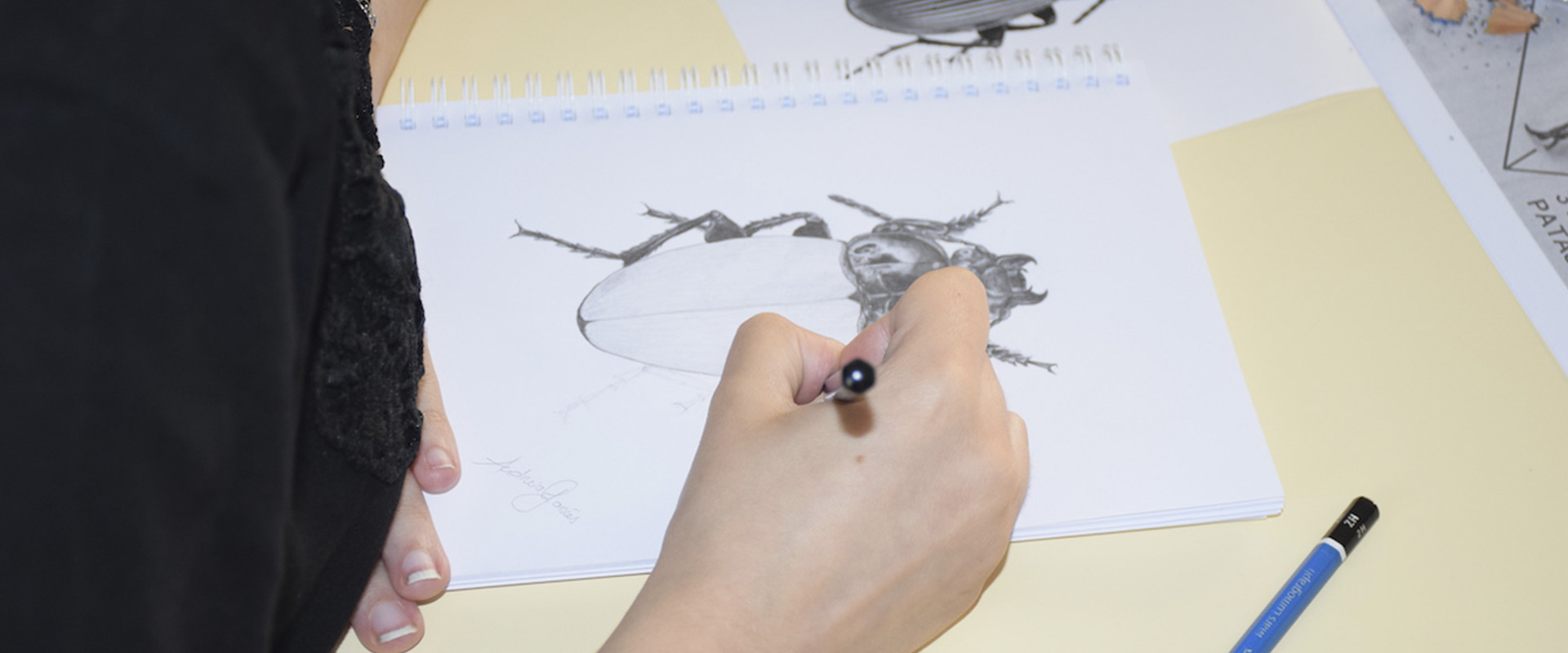 Workshop de desenho de natureza despertou novos talentos