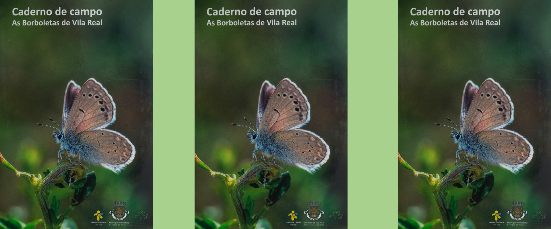 Caderno de Campo “As Borboletas de Vila Real” já disponível